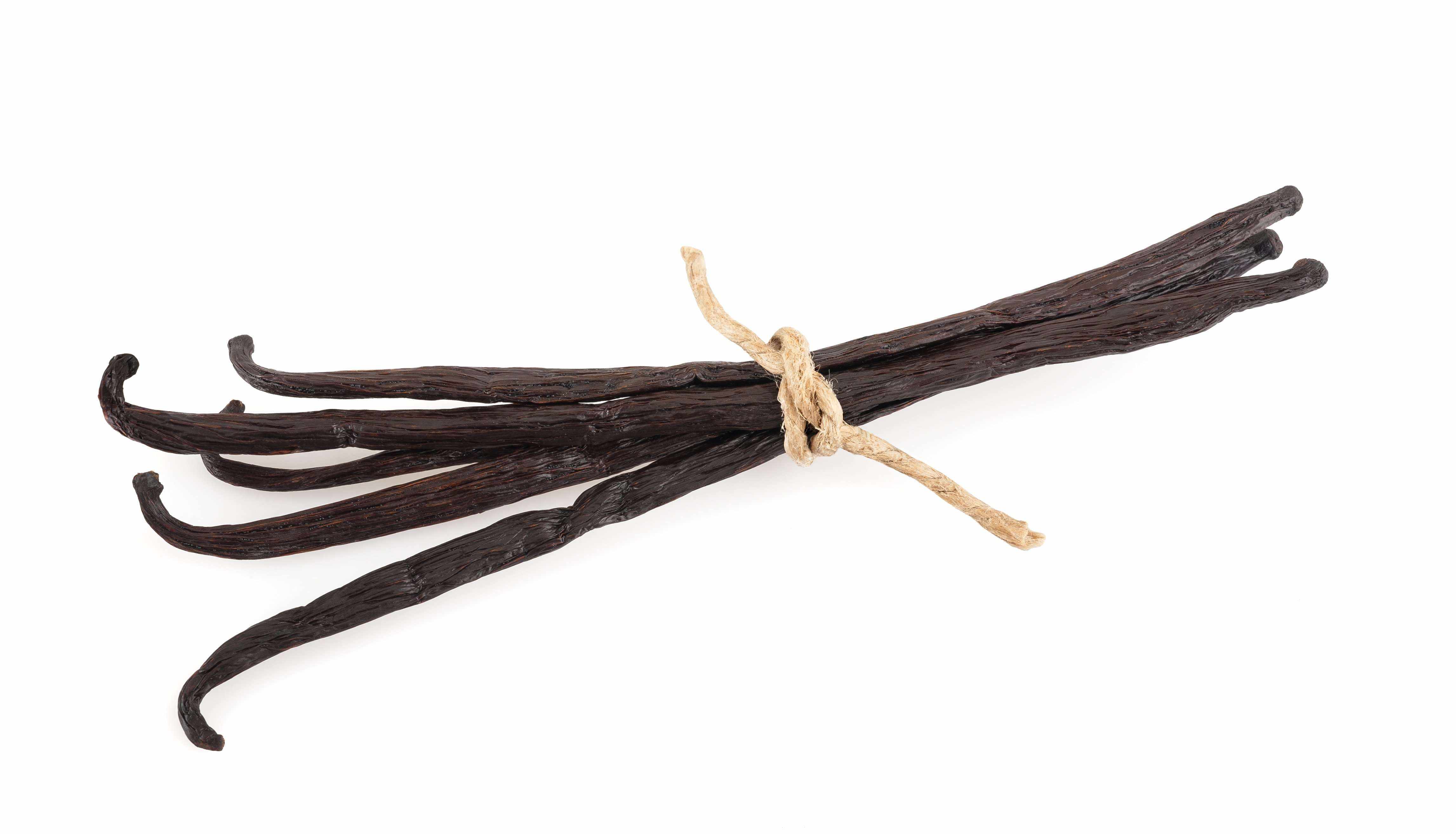 BREWERS SPECIAL Organic Madagascar Vanilla Beans Grade A - 1 LB - Image 10