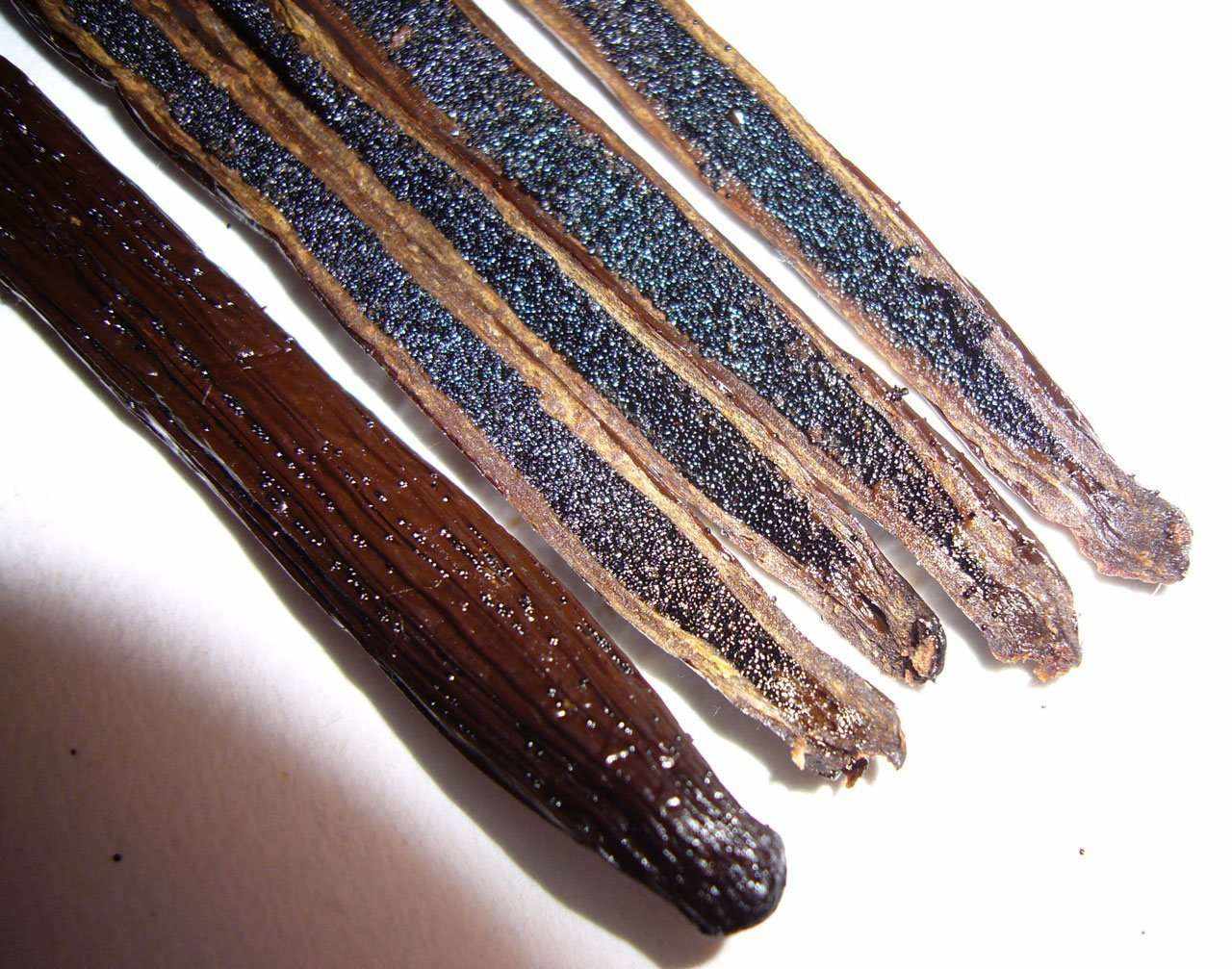 BREWERS SPECIAL Organic Madagascar Vanilla Beans Grade A - 1 LB - Image 11