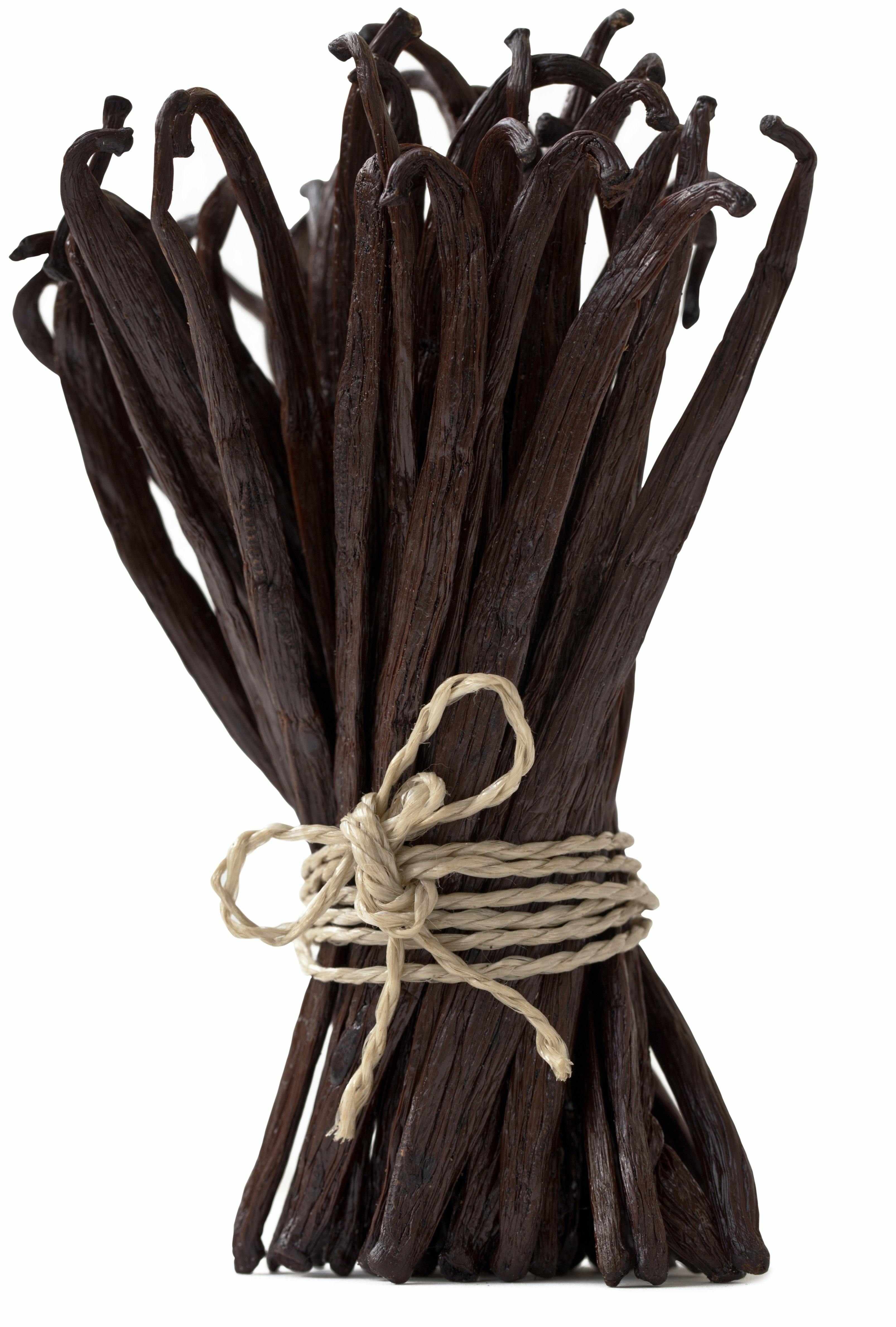 BREWERS SPECIAL Organic Madagascar Vanilla Beans Grade A - 1 LB - Image 7