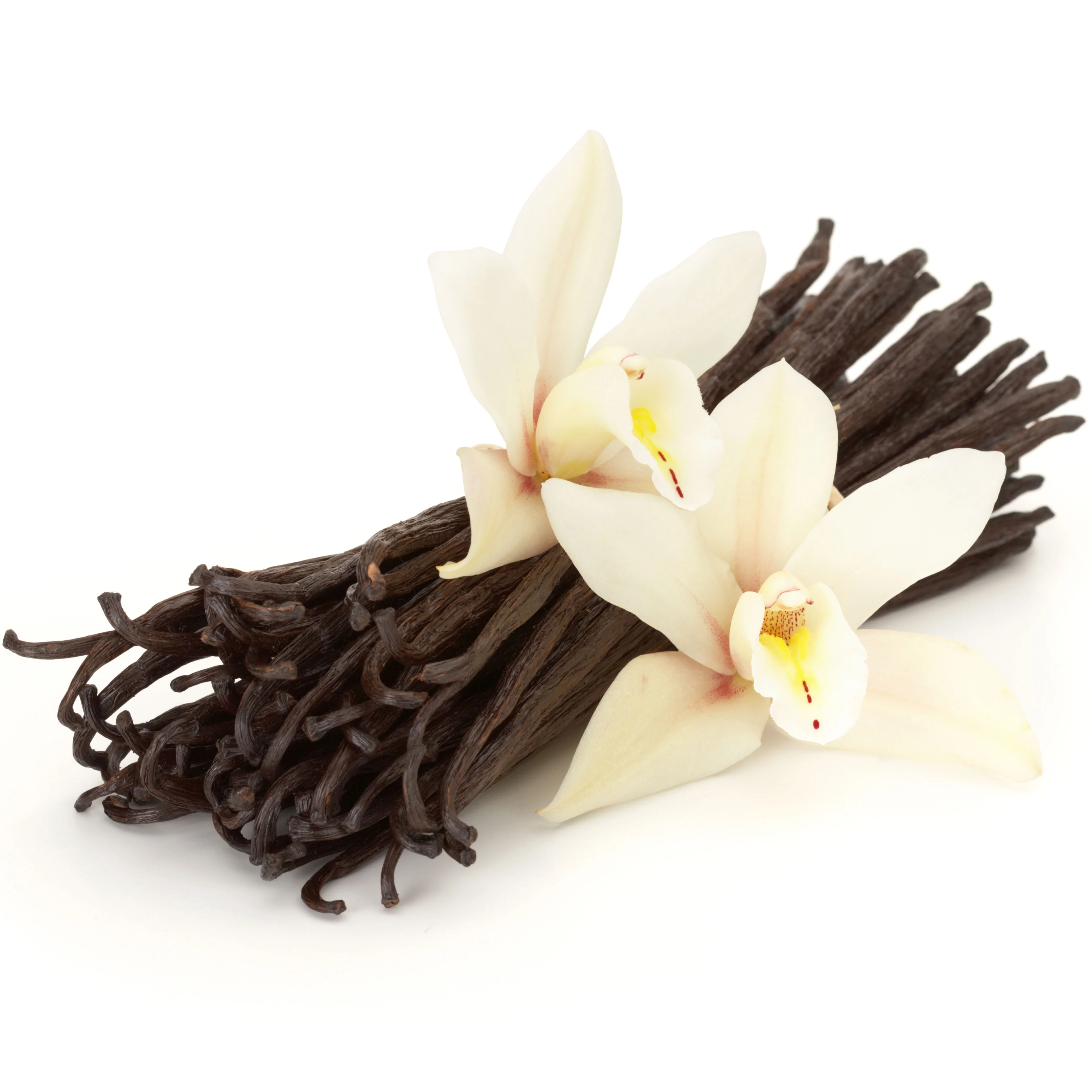 Co-Op Comoros Grade A Vanilla Beans (Per Ounce) - Image 7