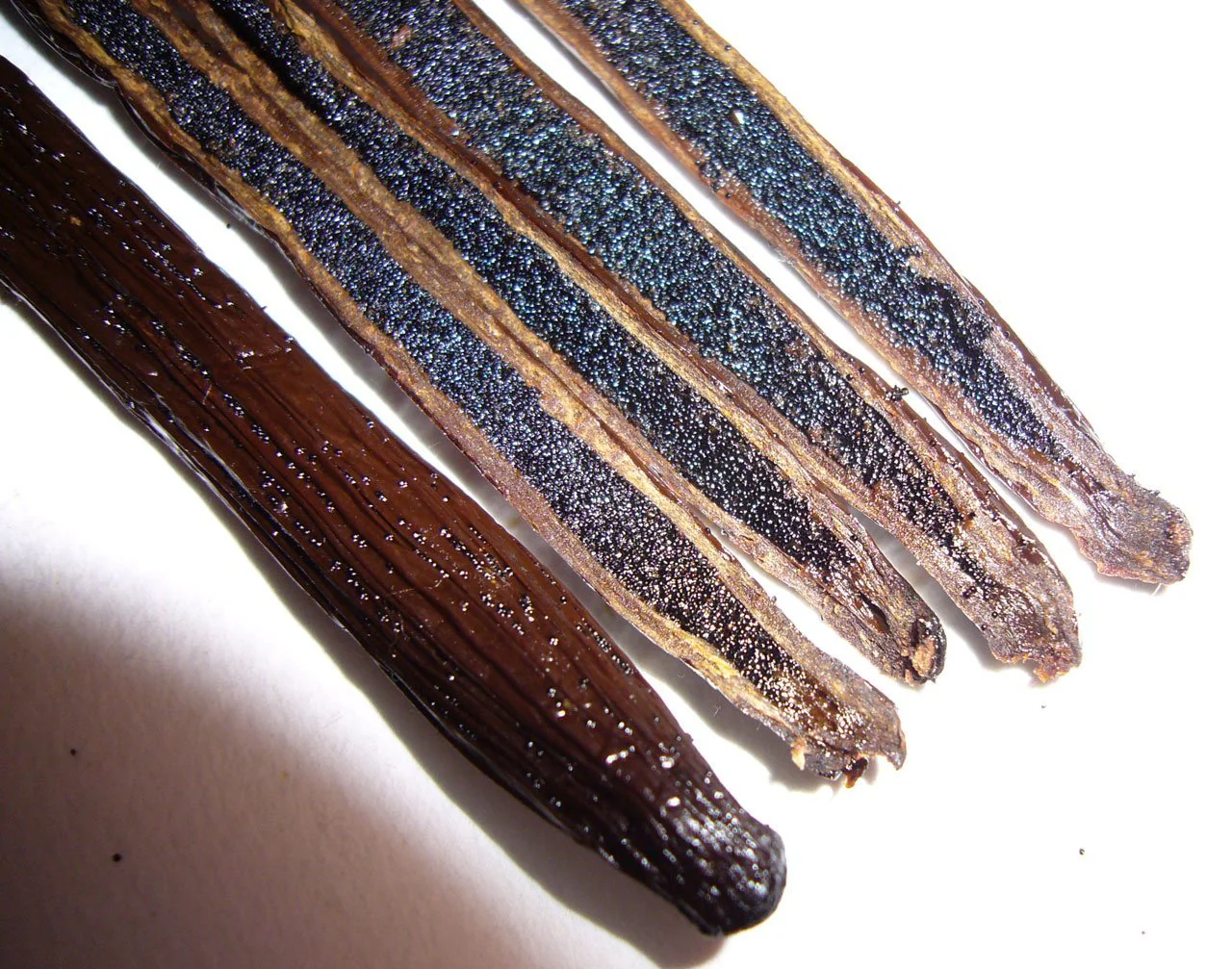 Co-Op Pricing ORGANIC Madagascar Grade A Vanilla Beans (Per Ounce) - Image 10