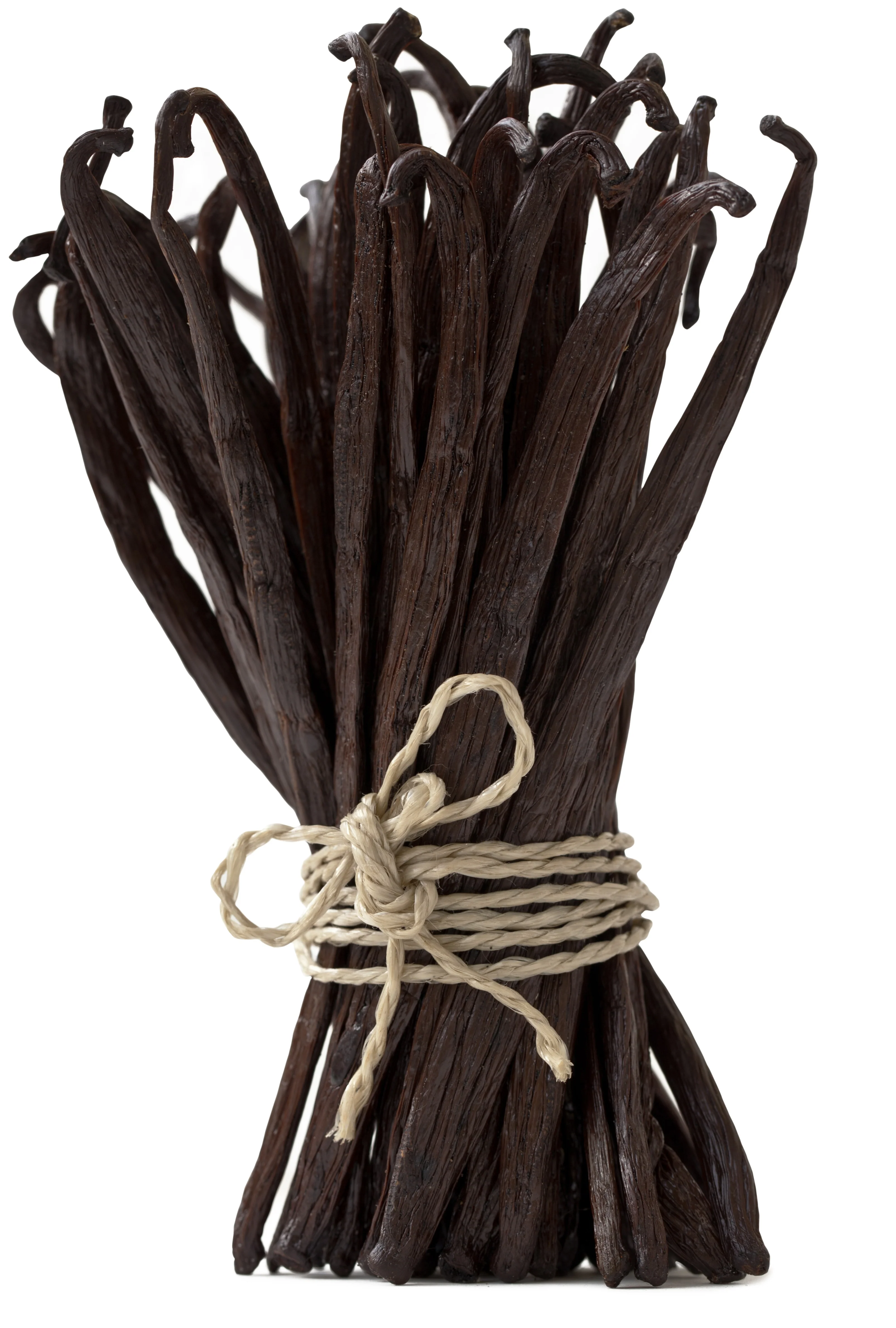 Co-Op Pricing ORGANIC Madagascar Grade A Vanilla Beans (Per Ounce) - Image 6