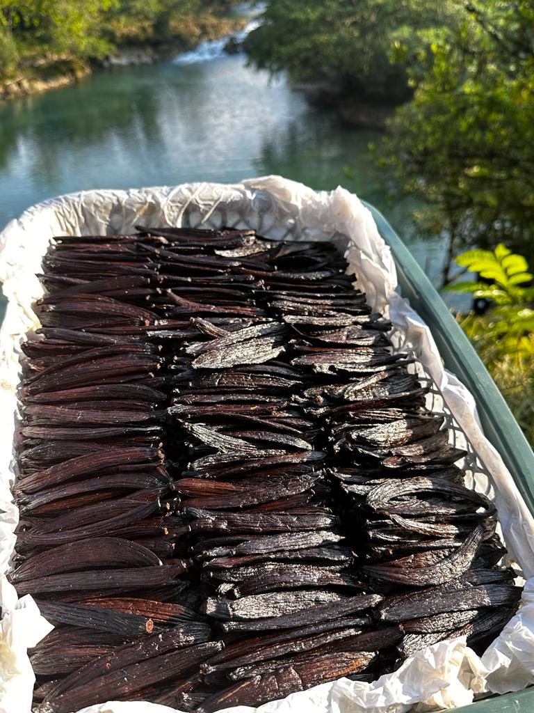 Co-Op Pricing Guatemala Grade A Vanilla Beans (Per Ounce) - Image 6