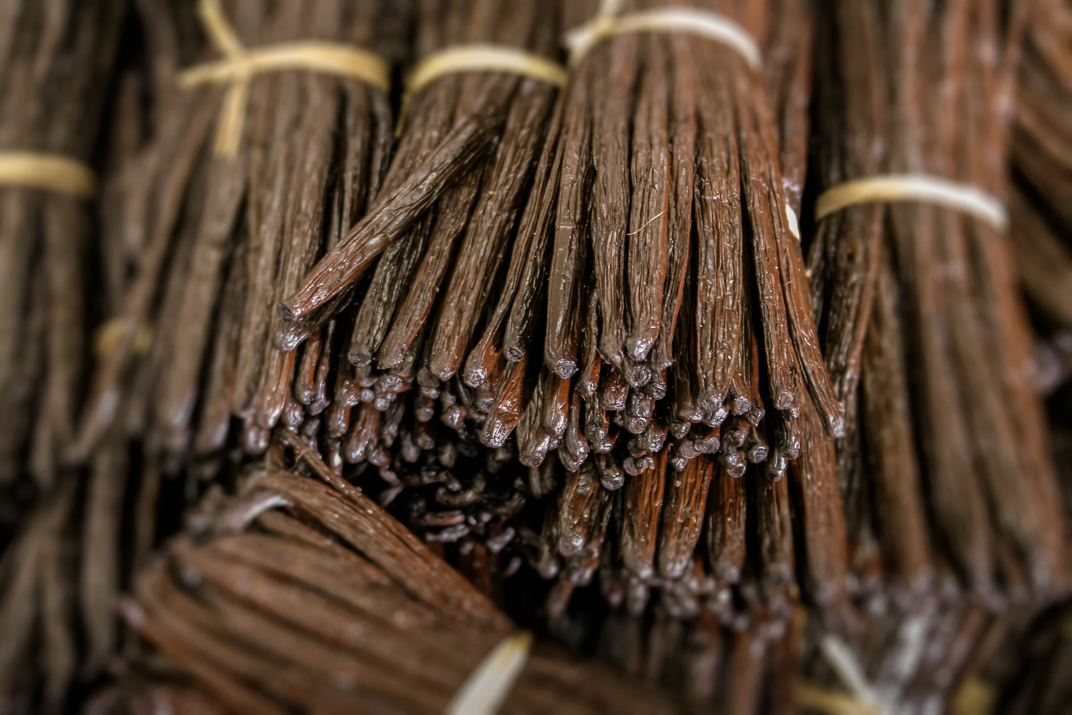 Co-Op Pricing Indian Grade A Vanilla Beans (Per Ounce) - Image 12