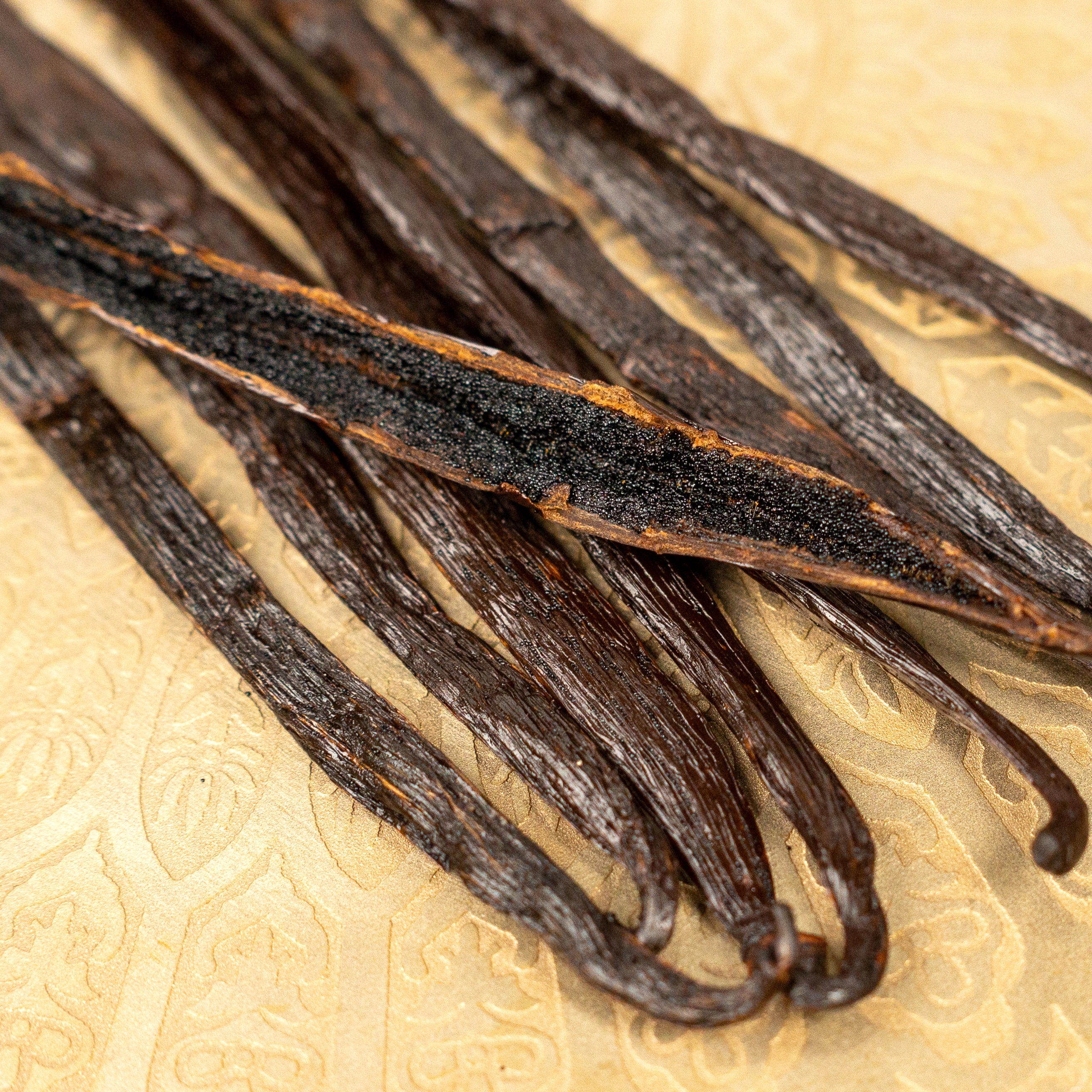 Co-Op Pricing Indian Grade A Vanilla Beans (Per Ounce) - Image 3