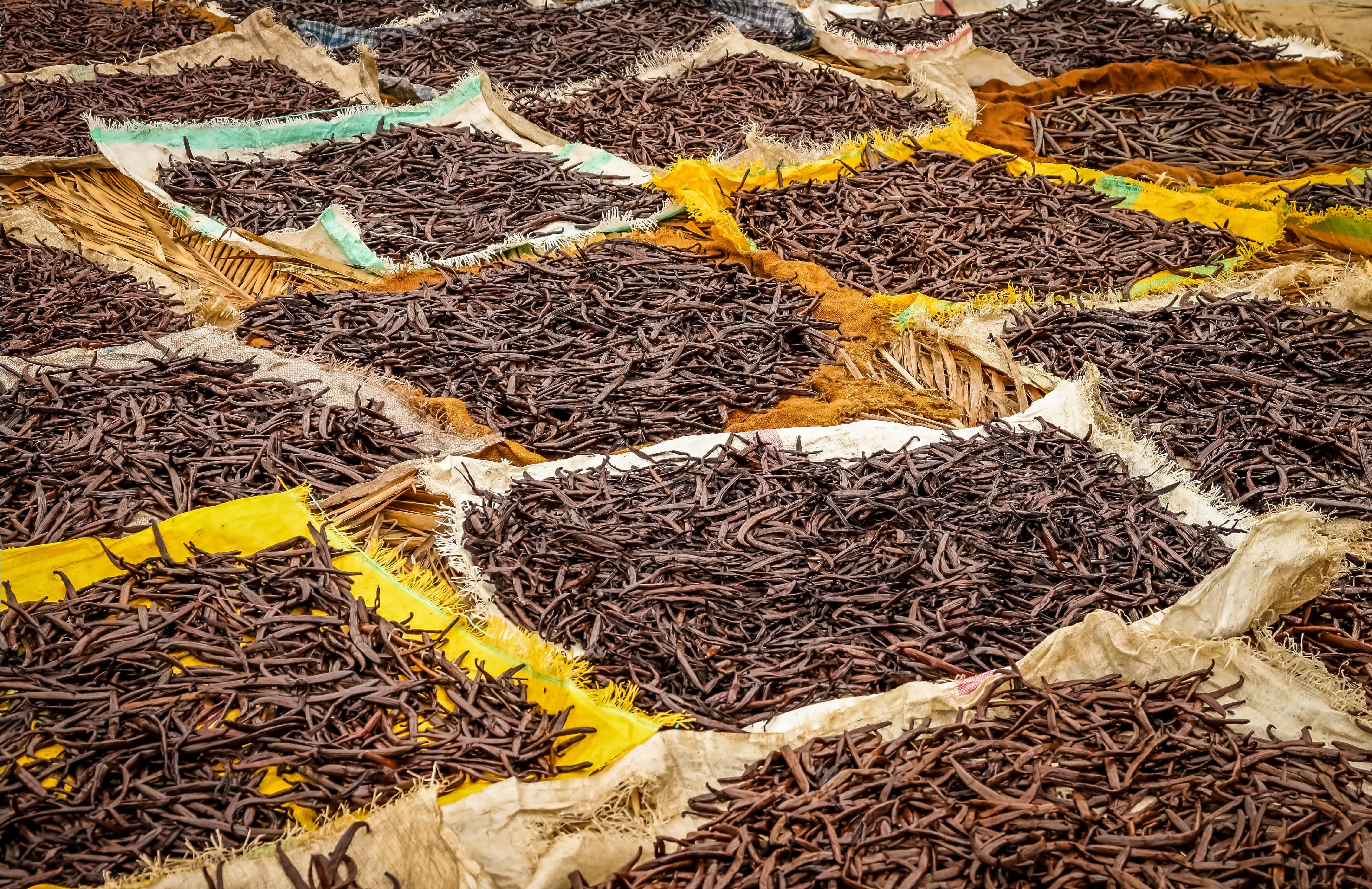 Co-Op Pricing Mexican Veracruz Grade A Vanilla Beans (Per Ounce) - Image 7
