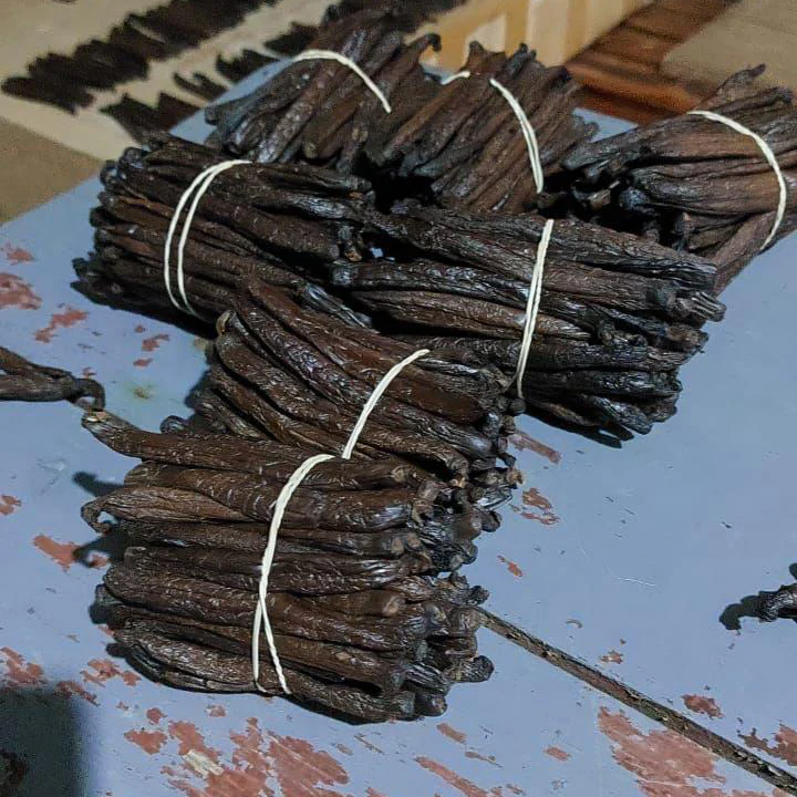 Co-Op Pricing Nicaragua Pompona Grade A Vanilla Beans (Per Ounce) - Image 2