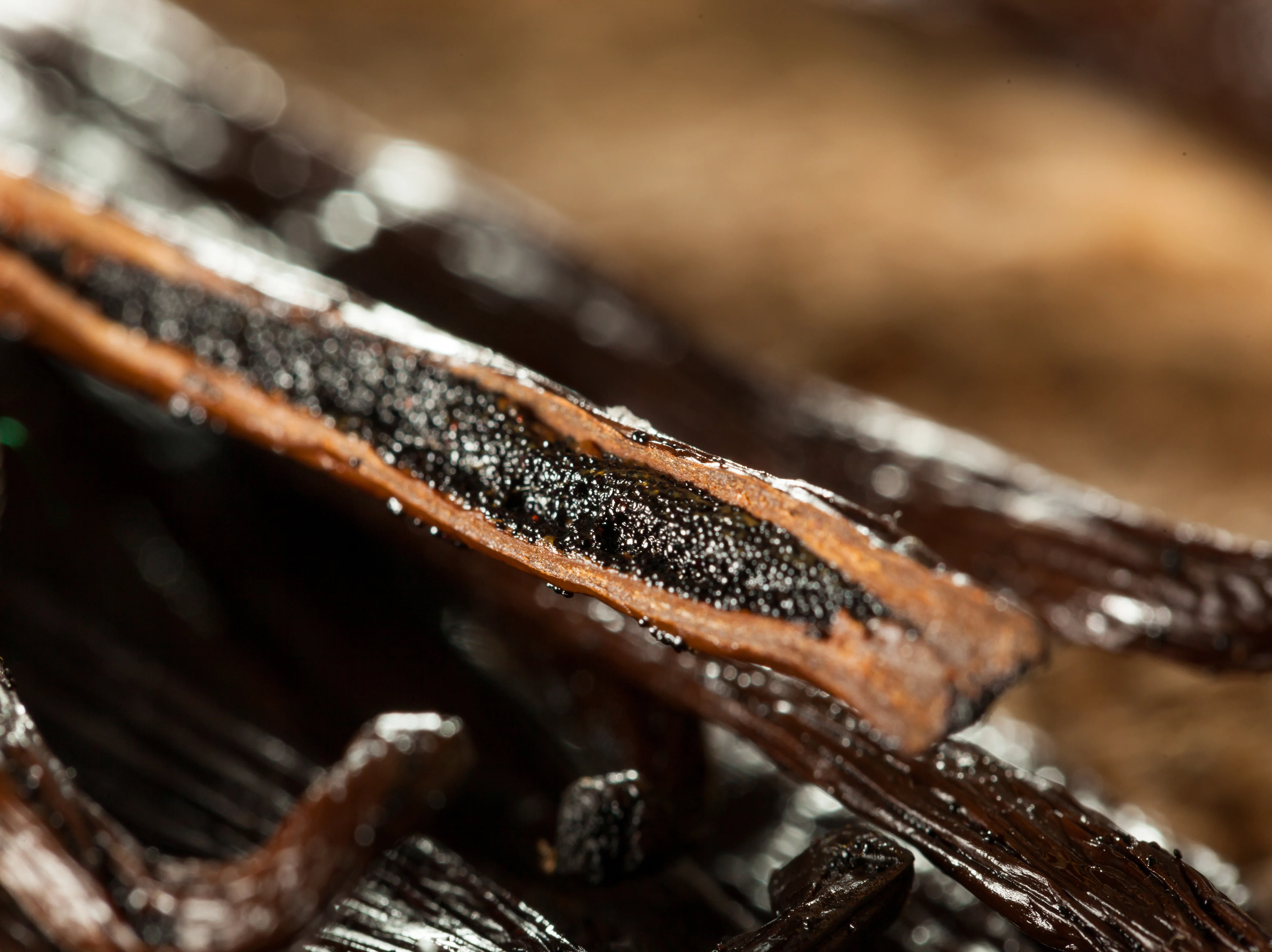 Co-Op - Papua New Guinea Grade A Vanilla Beans (Per Ounce) - Image 3