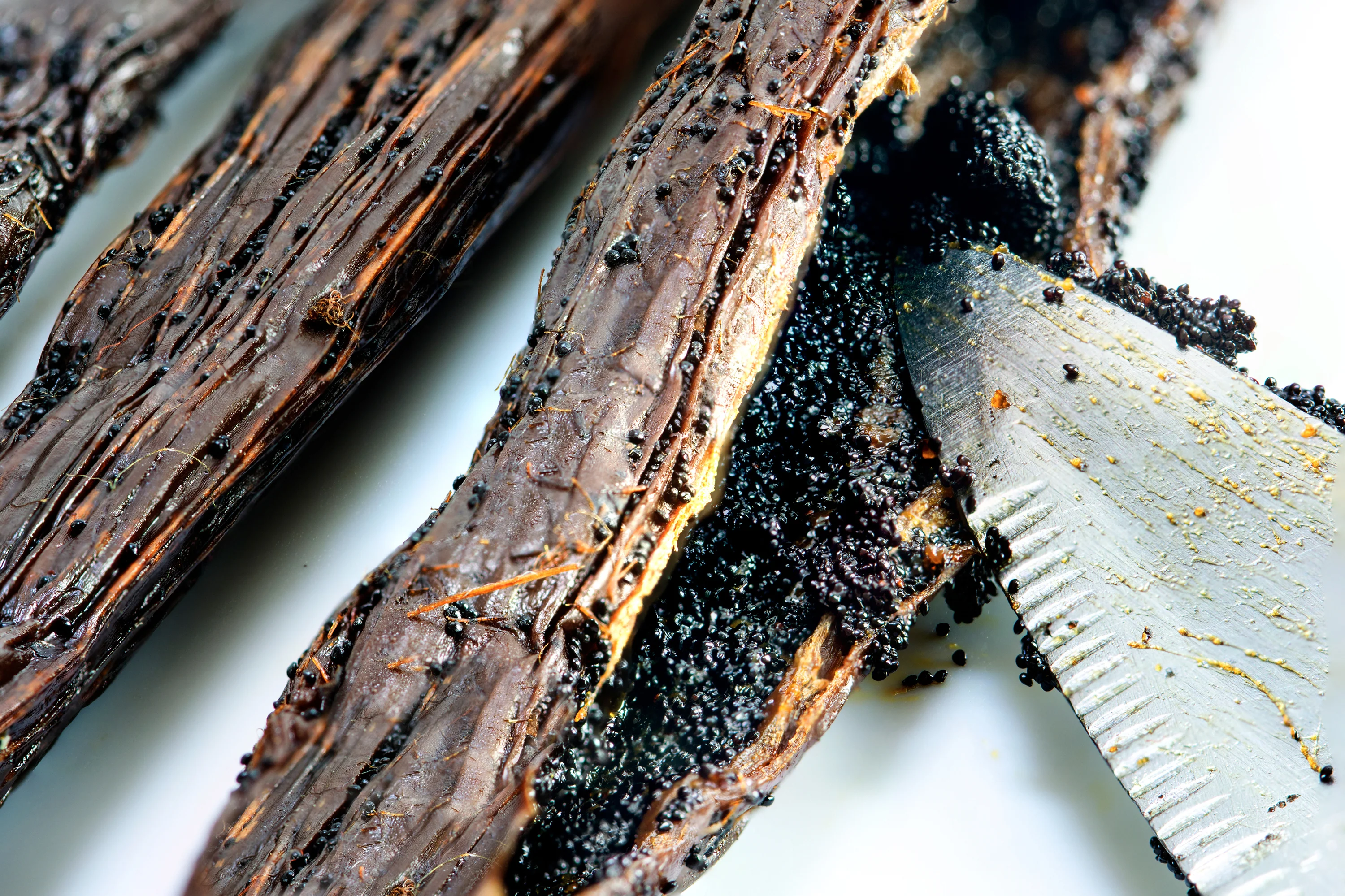 Co-Op Pricing Costa Rica Grade A Vanilla Beans (Per Ounce) - Image 5