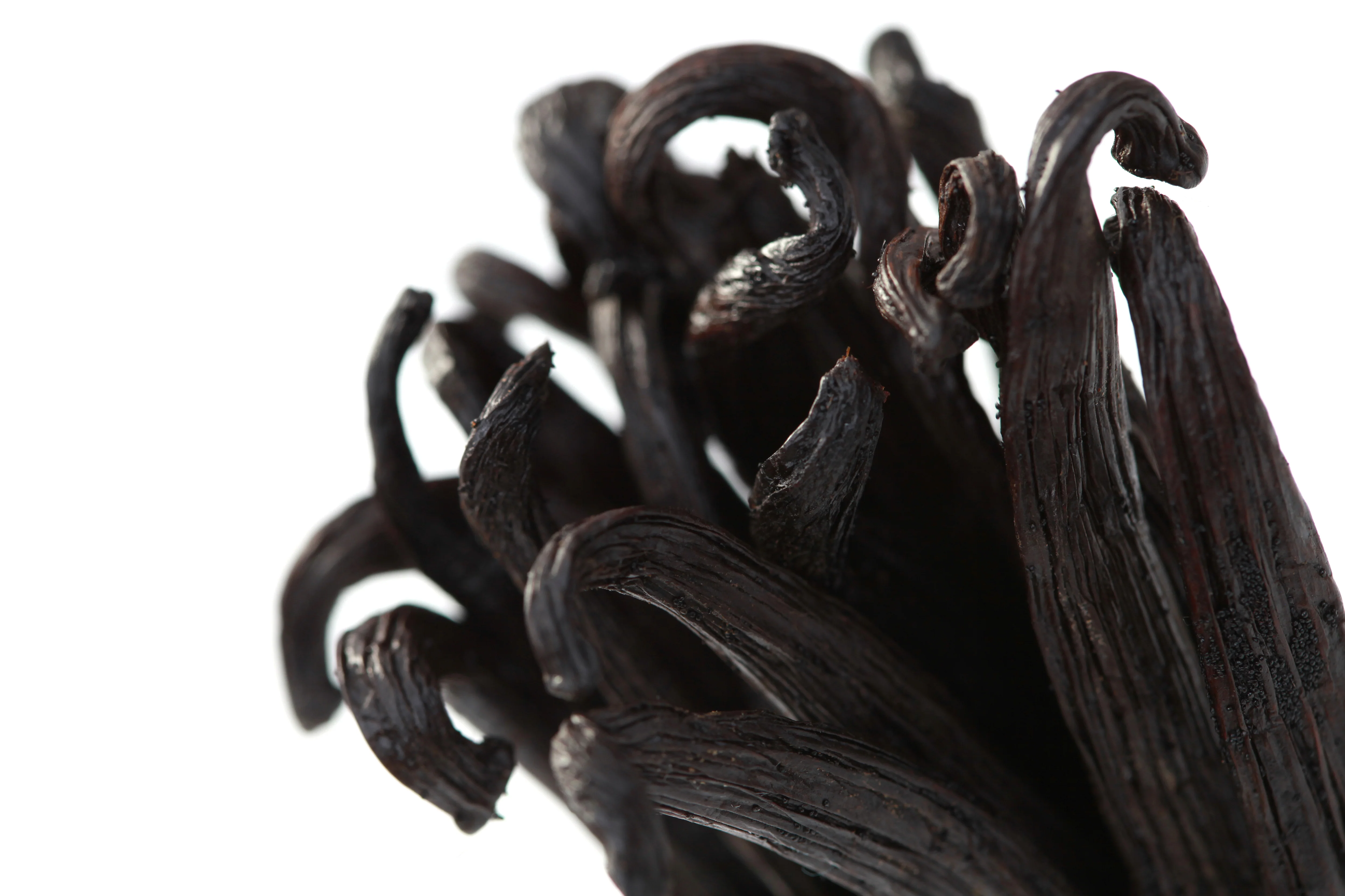 Co-Op Pricing Ecuadorian Grade A|B Vanilla Beans (Per Ounce) - Image 2