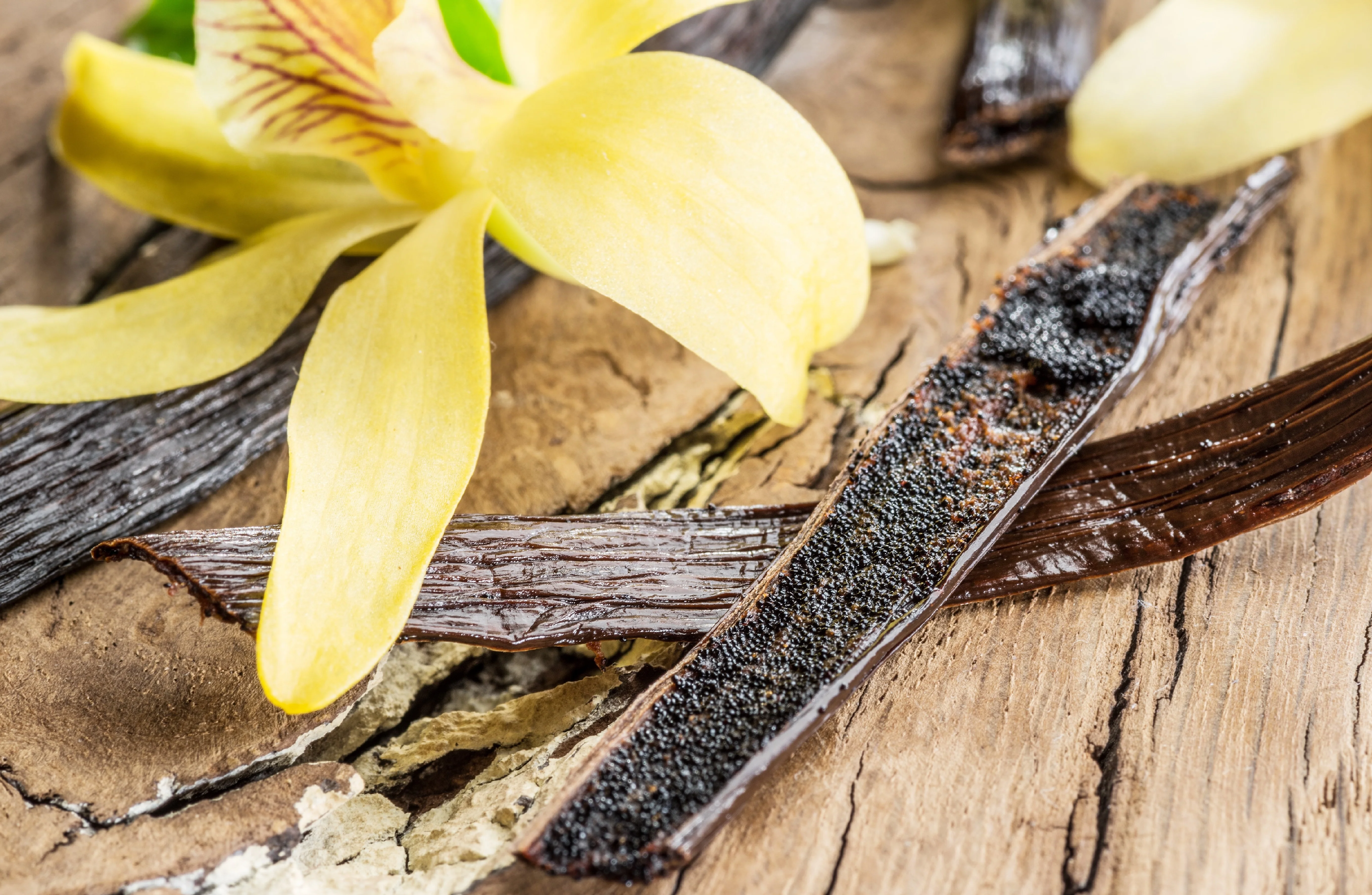 Co-Op Pricing Tahitian Grade A Vanilla Beans (Per Ounce) - Image 4