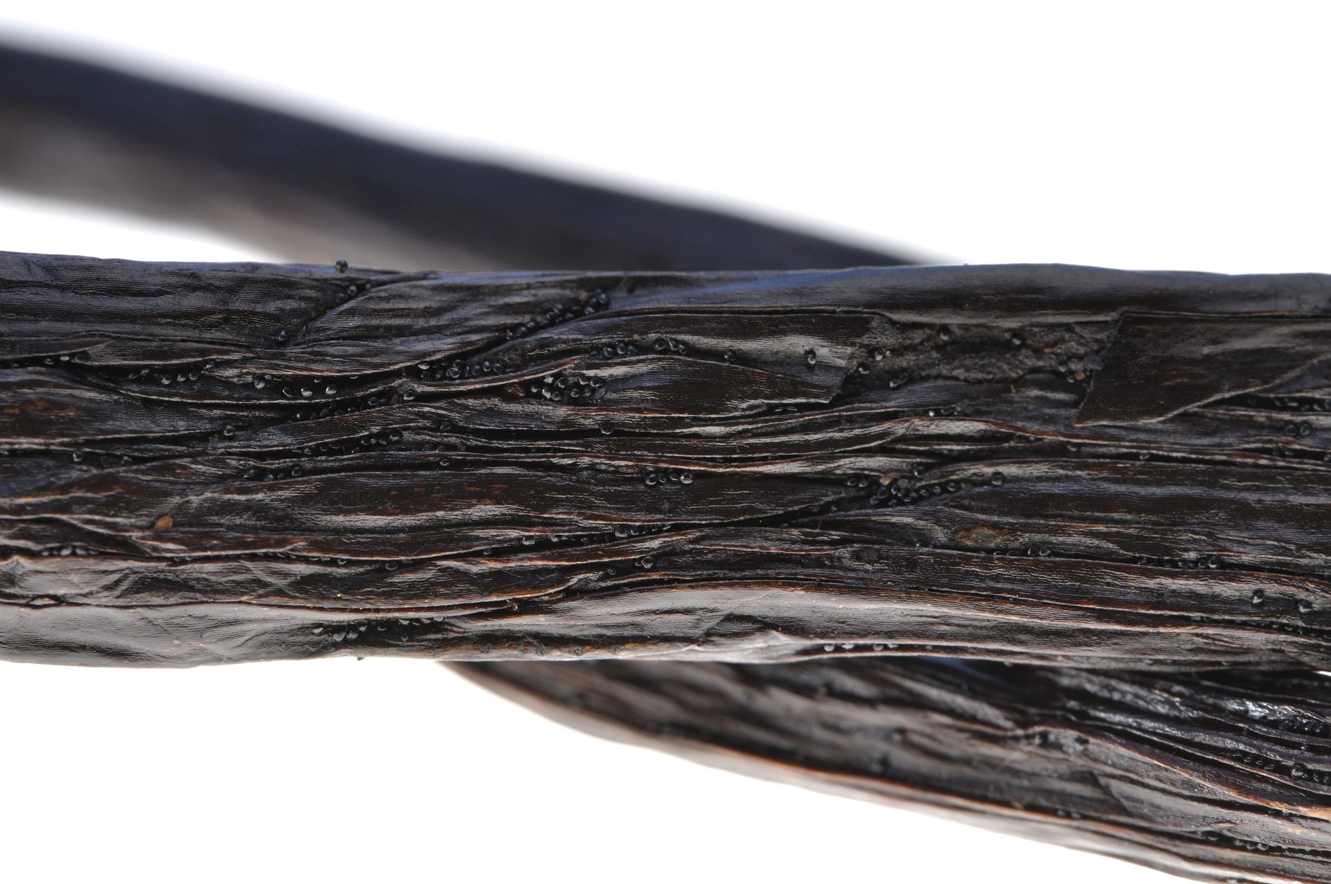 Ecuadorian Vanilla Beans - Whole Grade A Pods for Baking and Extract Making - Image 3
