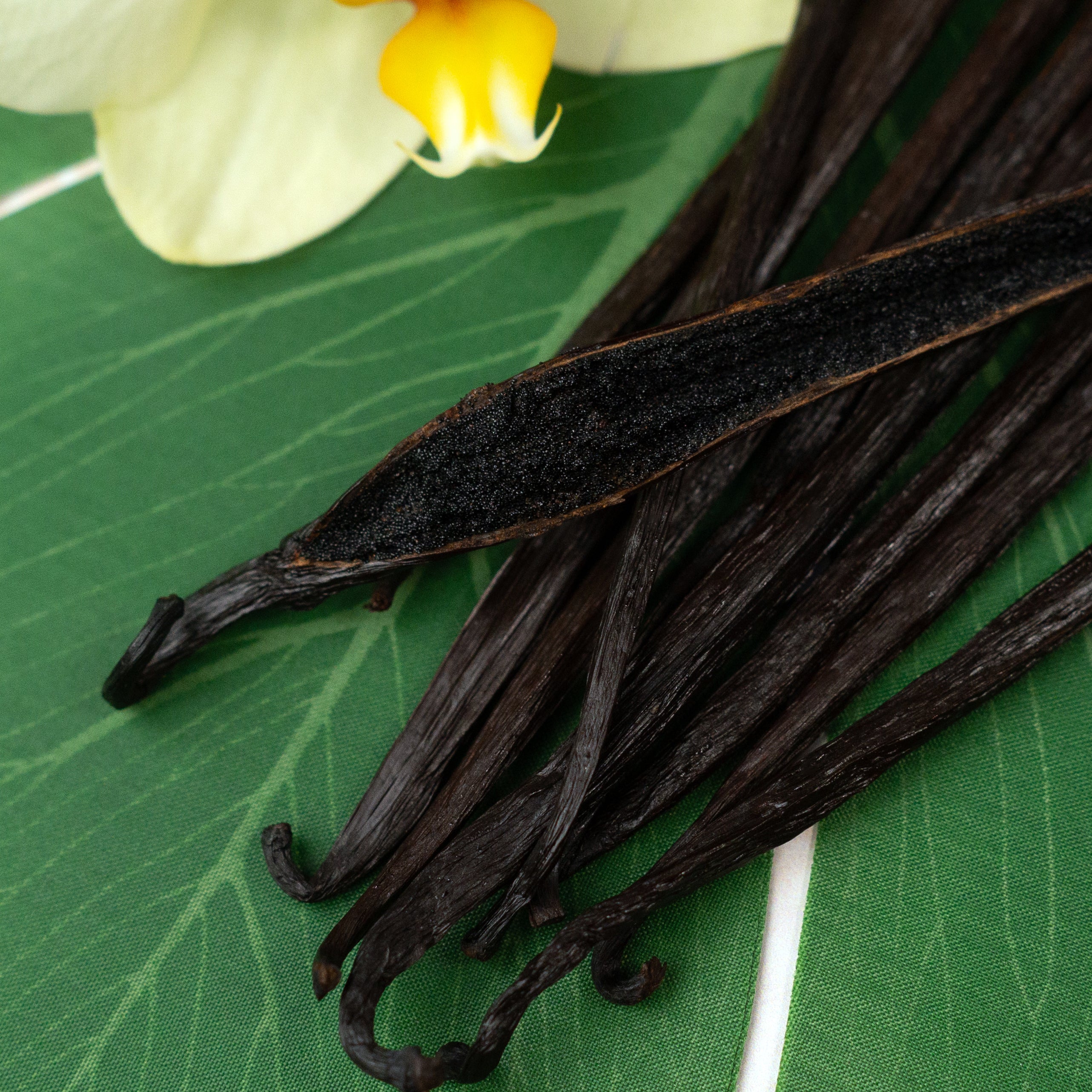 Hawaiian Grade A Vanilla Beans - Proudly Grown in the USA - Image 4