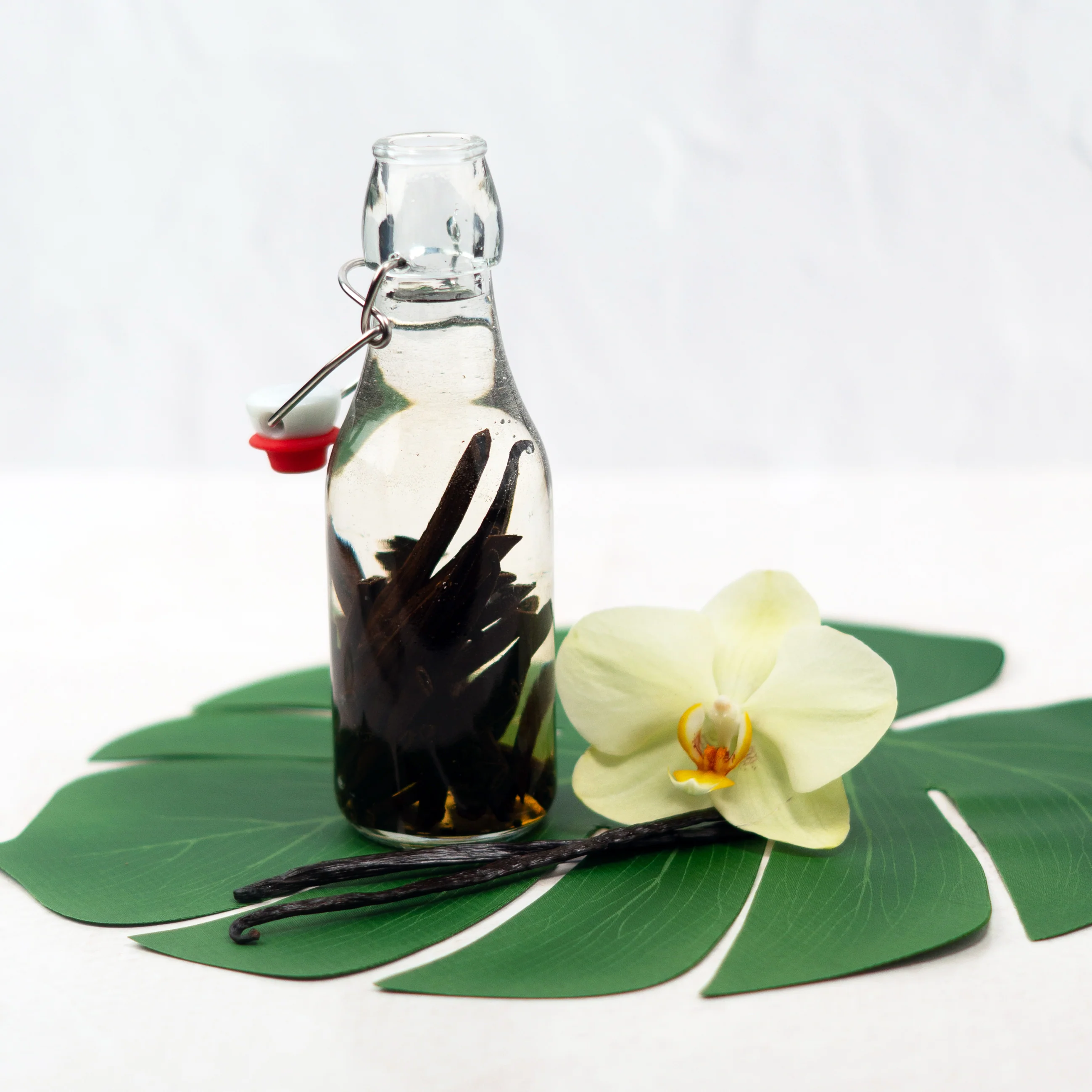 Hawaiian Grade A Vanilla Beans - Proudly Grown in the USA - Image 5