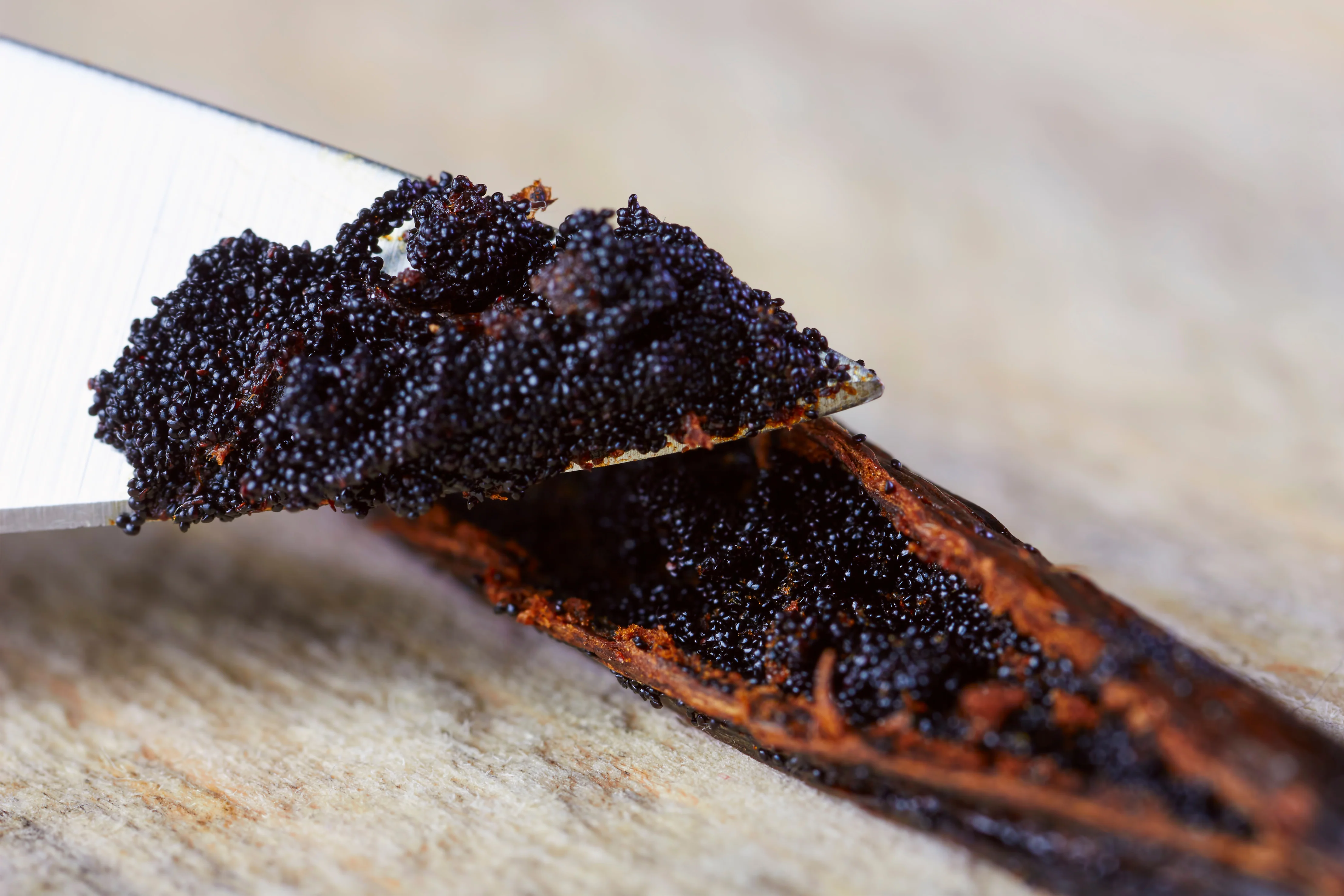 Madagascar Vanilla Bean Caviar Seeds 1 oz - Image 5
