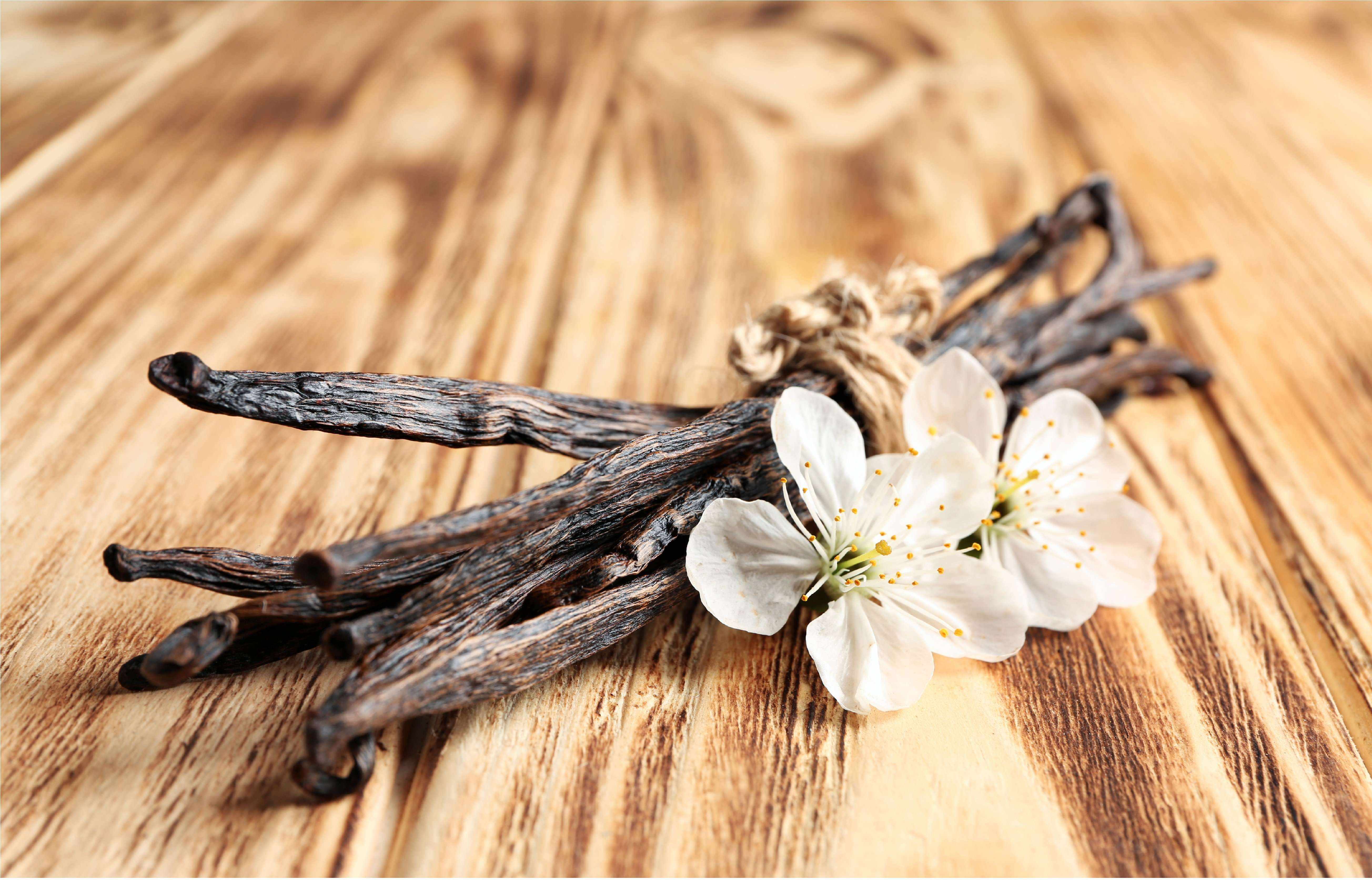 Organic Madagascar Vanilla Beans - Whole Grade B Pods for Extract Making - Image 4