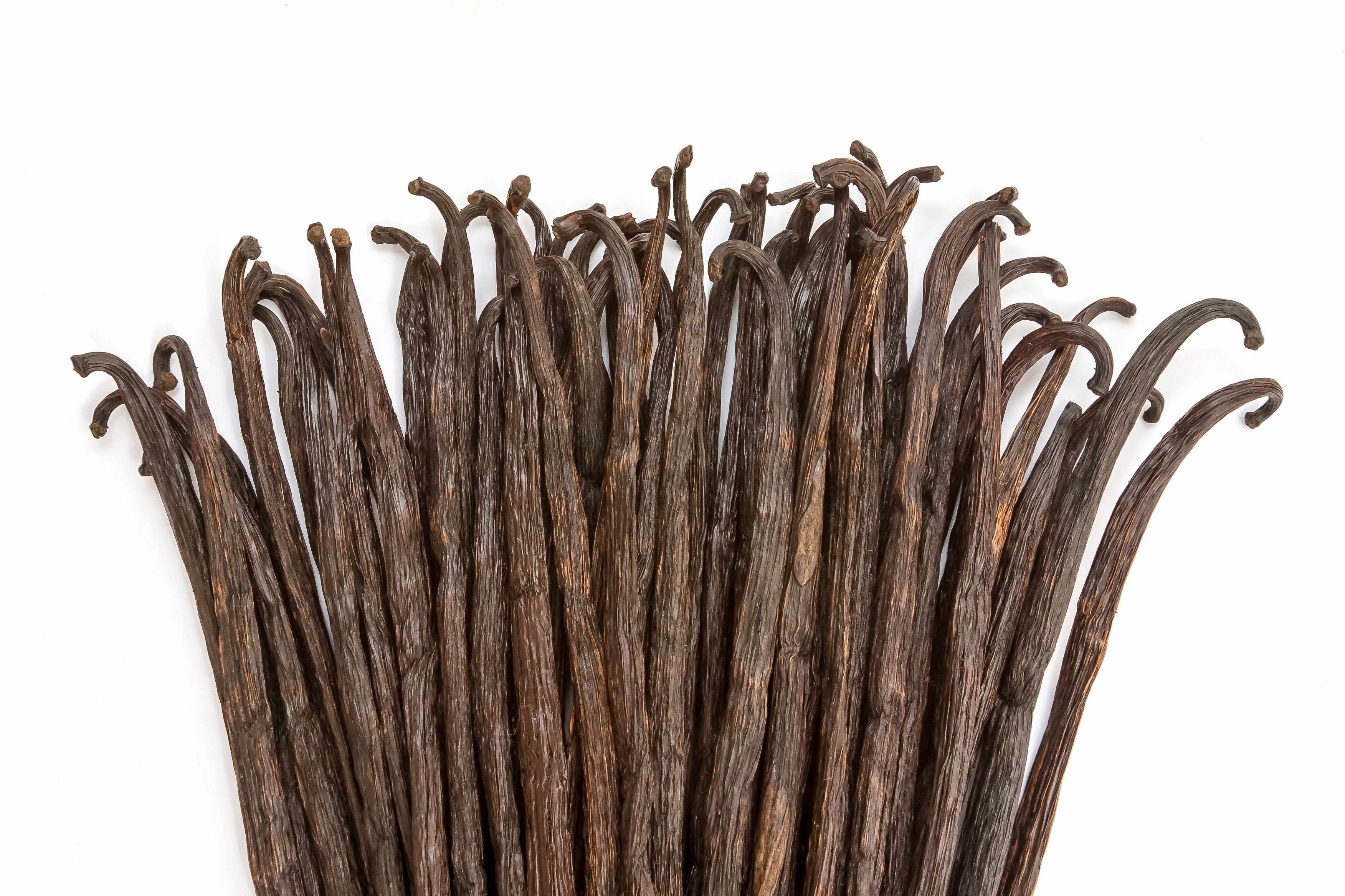 Organic Madagascar Vanilla Beans - Whole Grade B Pods for Extract Making - Image 5