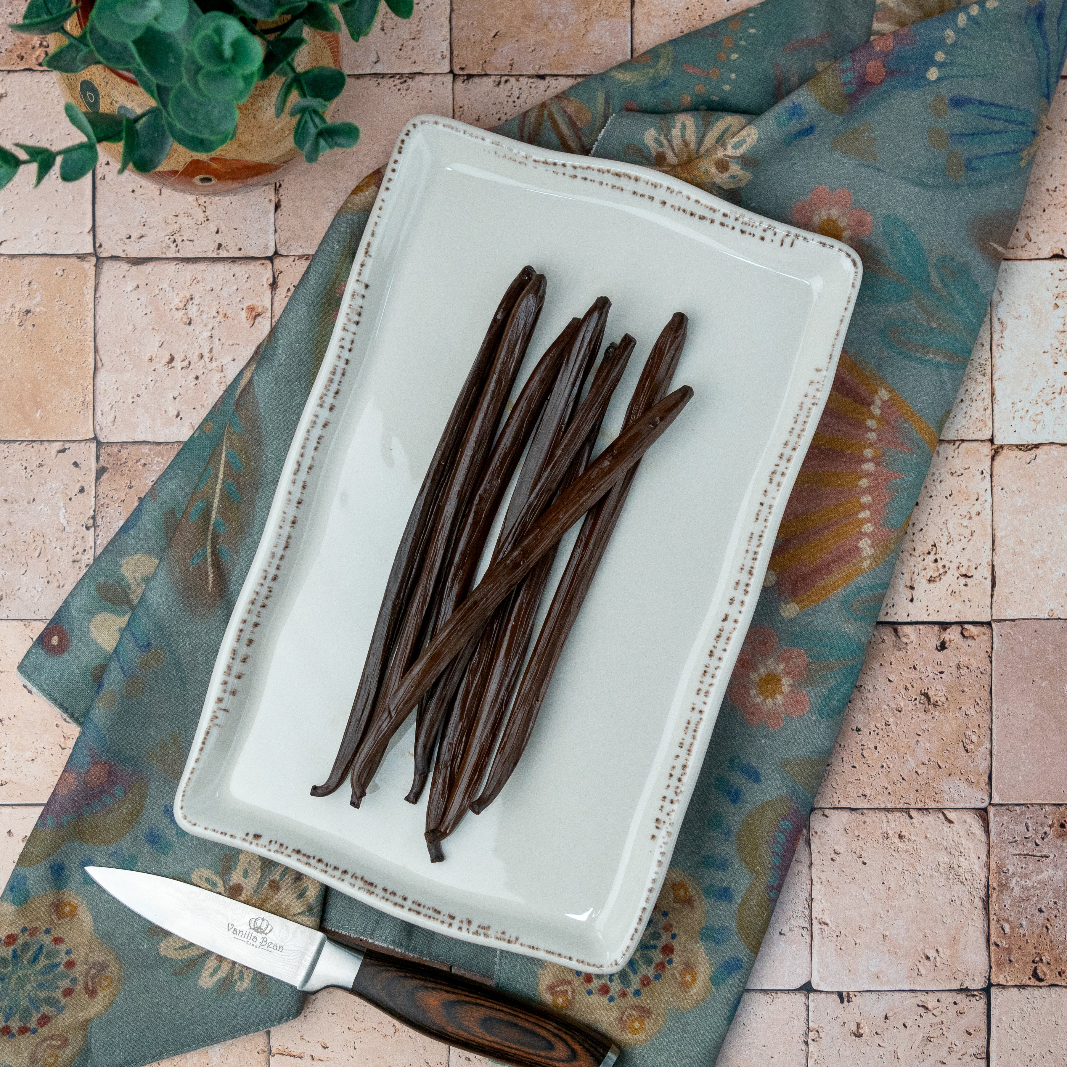 Nicaragua Planifolia Vanilla Beans - Whole Grade A Vanilla Pods for Vanilla Extract and Baking - Image 3