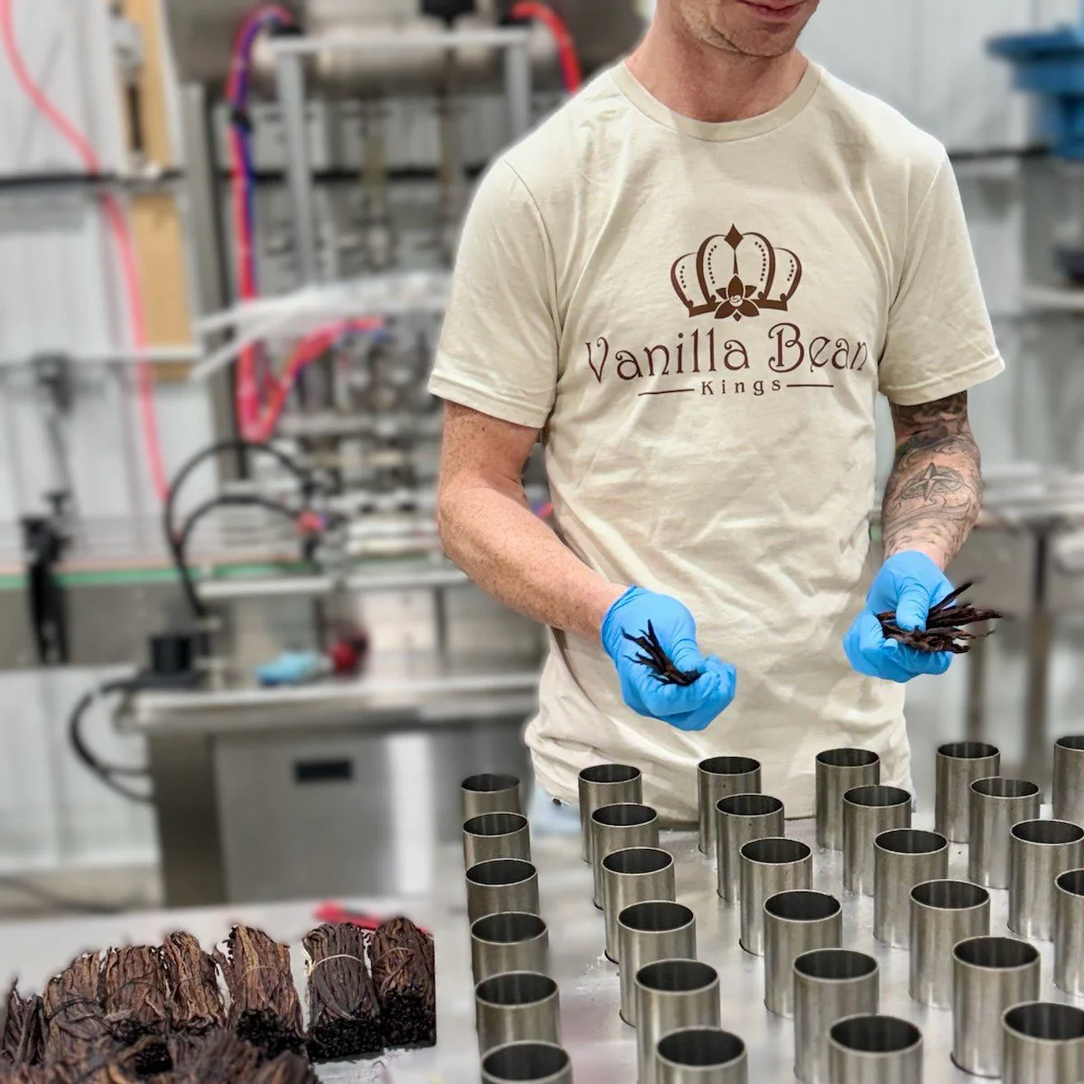 Vanilla Bean Kings T-Shirt - Image 6